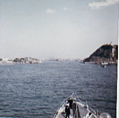 turro107.jpg