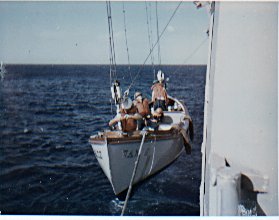 turro118.jpg