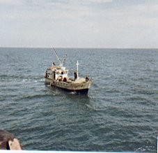 turro119.jpg