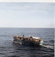 turro124.jpg